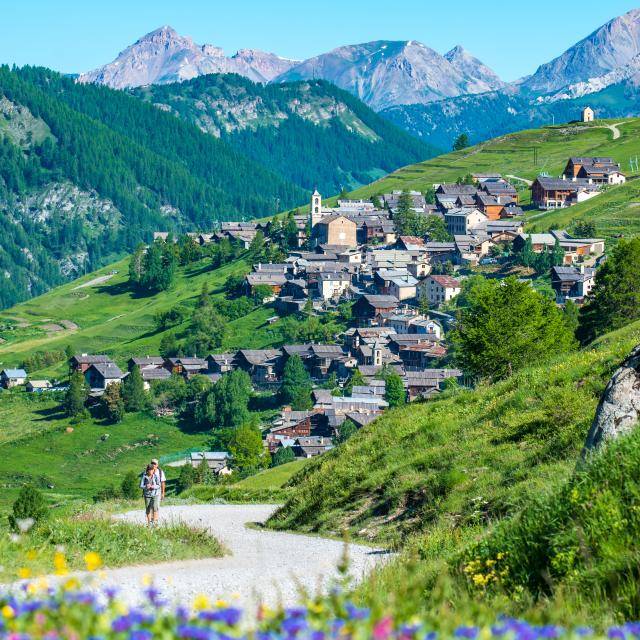 UMBB Summer camp - USC - Edition 2025