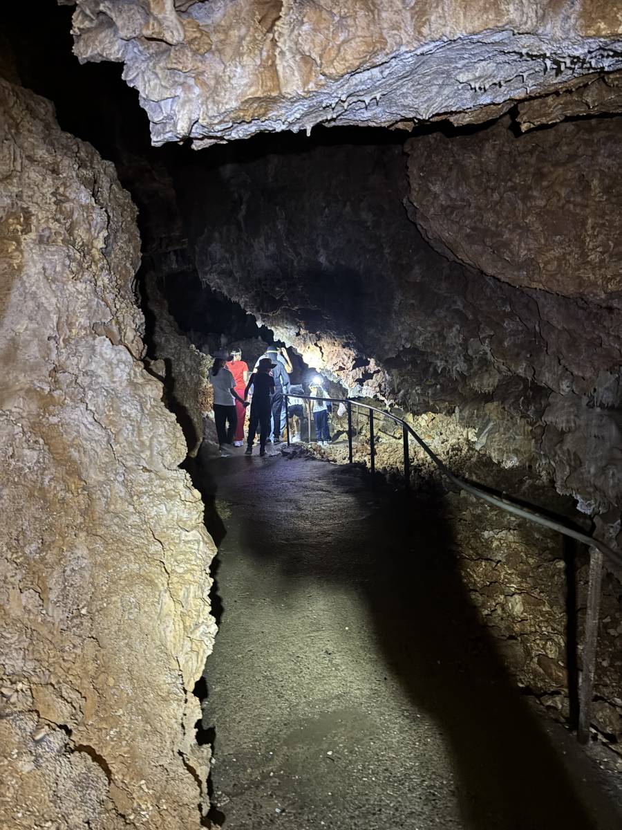 UMBB Summer camp 2025